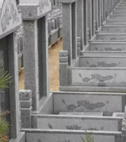 泰州祖坟墓地出现这种现象，大事不妙，千万要注意了！